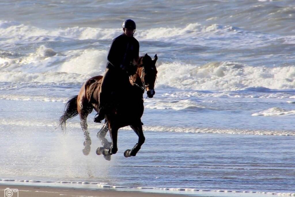 Beachtime Close To The Beach, City Centre Zandvoort Luaran gambar